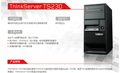 联想TS230 S2130服务器 适合中小企业的入门级双核塔式服务器