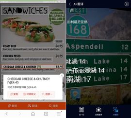 打破语言壁垒 手机浏览器首推AR实时翻译，让沟通触手可及