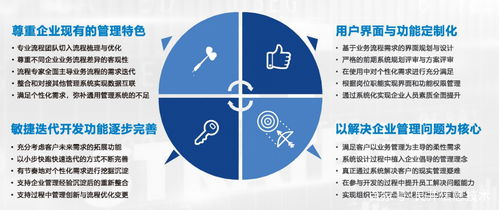 定制化与通用型企业管理软件 企业该如何抉择？